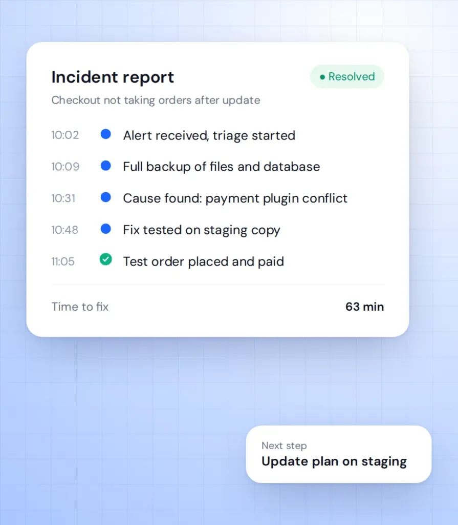 WooCommerce Audit: Code, Speed, Security and Conversion